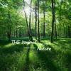 The Imagined Nature专辑