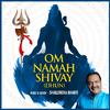 Shailendra Bharti - Om Namah Shivay (Dhun)