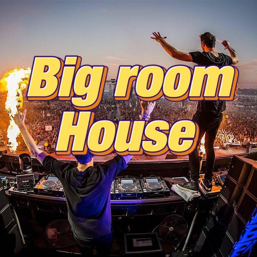炸房 ‖ Big room house/Trance 歌单 网易云音乐