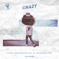 Crazy - Lost Frequences (karaoke) 带和声伴奏