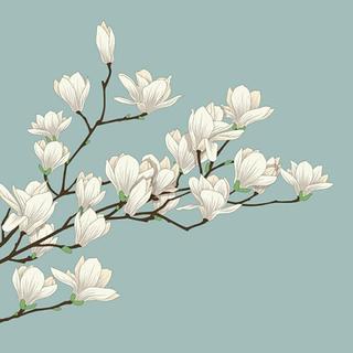 沏一杯 微淡 的春茶，忆之