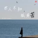 世人不知孤身苦(DJ豪大大版)