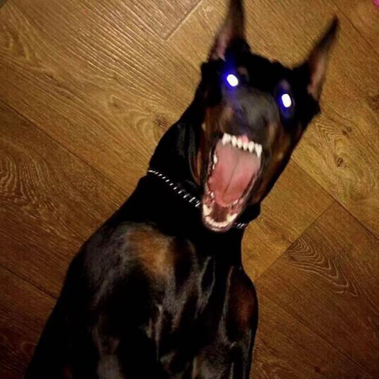 Various Artists-Gas Pedal（祖力 remix）