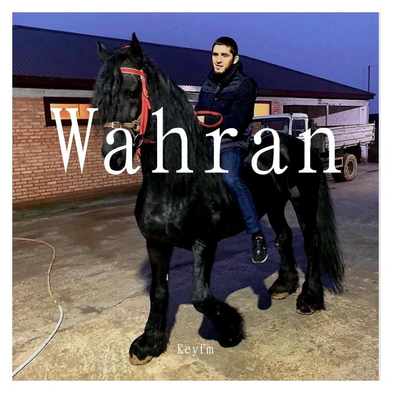 Randall-Wahran（蓝天 （伴奏） remix）