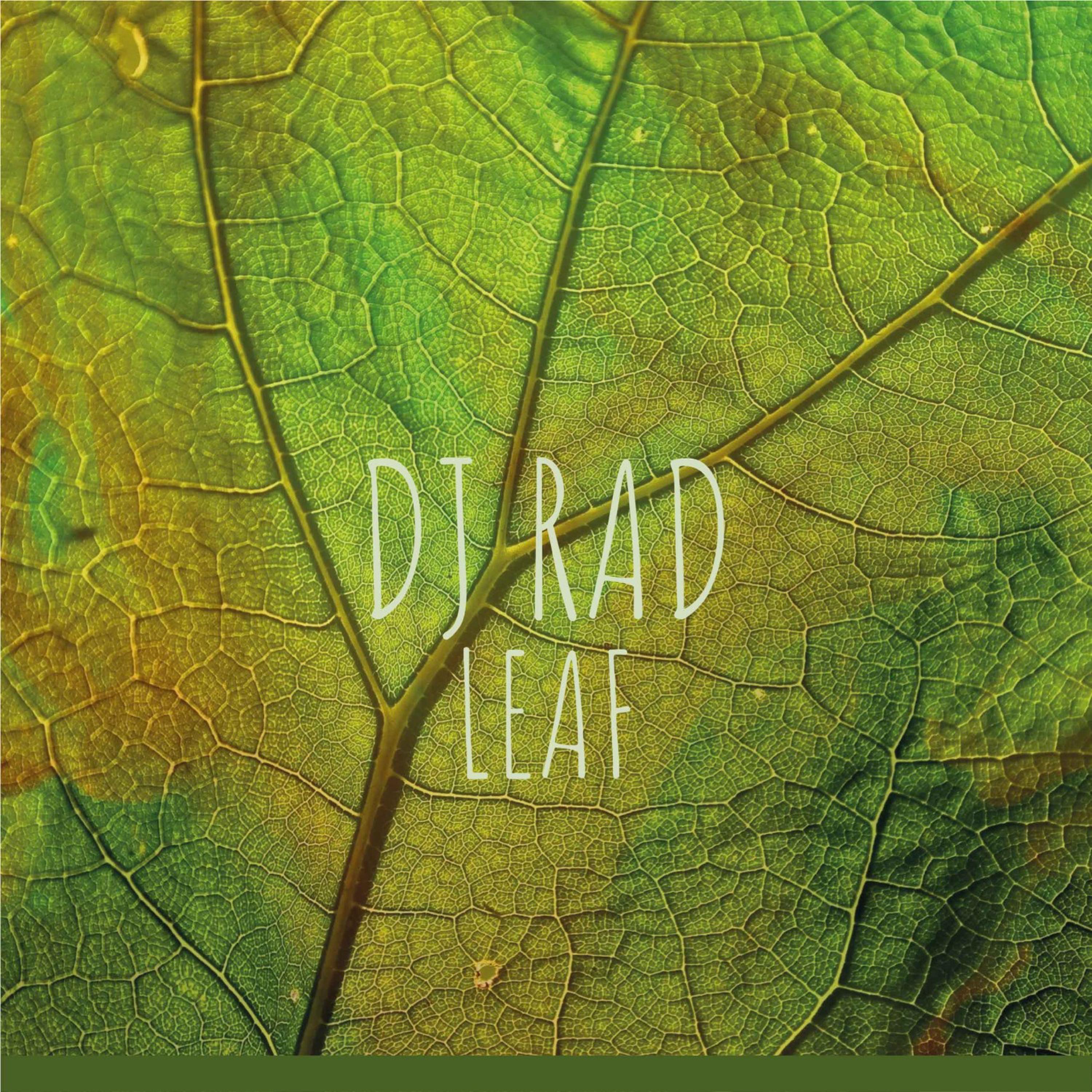 Leaf