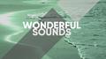 Wonderful Sounds of Zen Music专辑