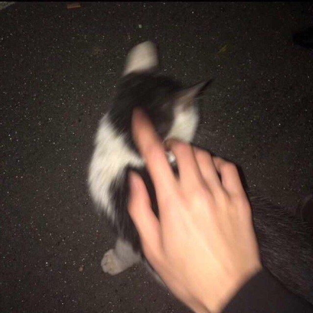 【民谣】不想面对世间的冷眼旁观。 | 在线播放 | 网易云音乐