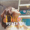 Dieu Tuyet Voi Sau Nuoc Mat专辑