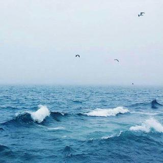 评论大合集