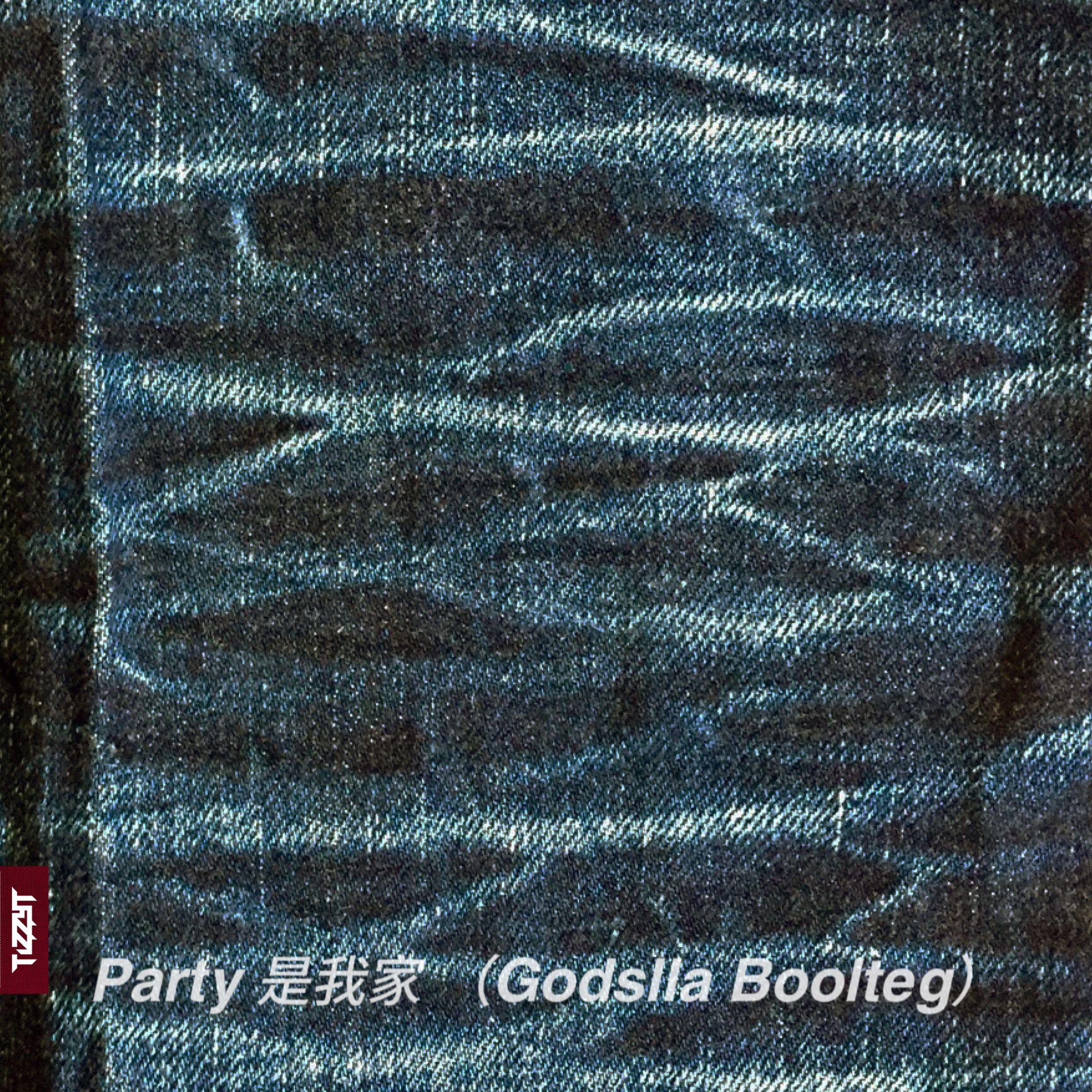 Party是我家（Godslla Boolteg）