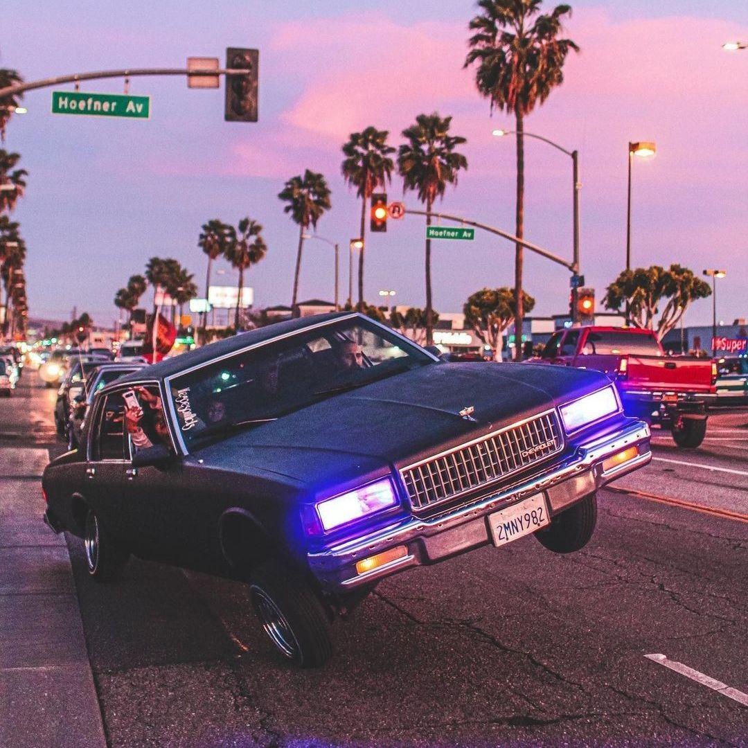 GO SHAWTY \\ c0de731