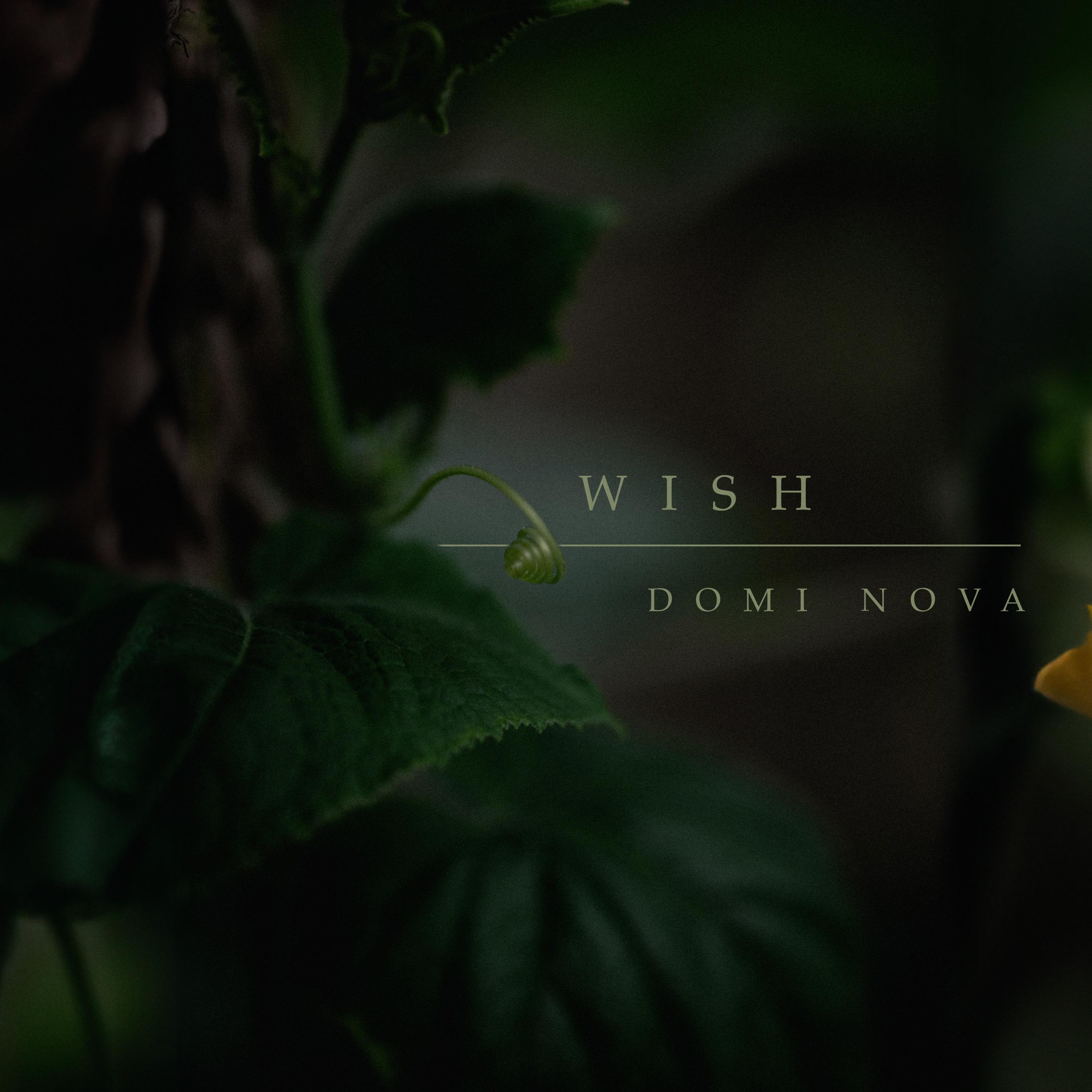Wish