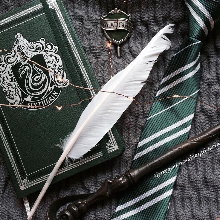 【Slytherin斯莱特林】魁地奇/公共休息室
