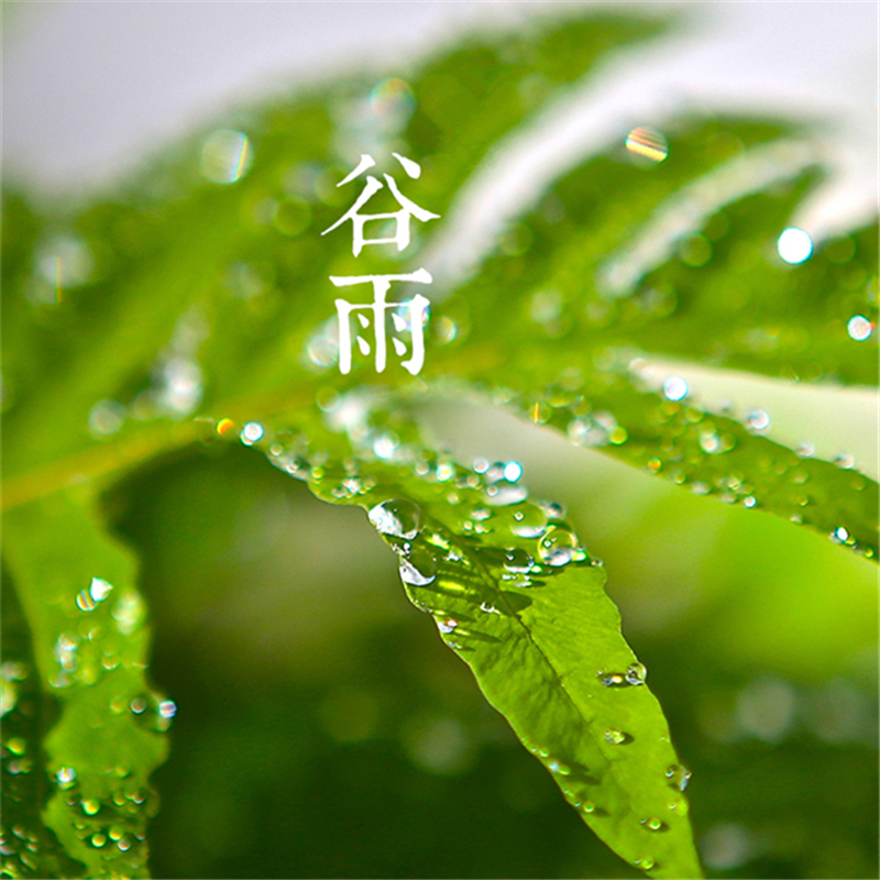 谷雨（2周年）