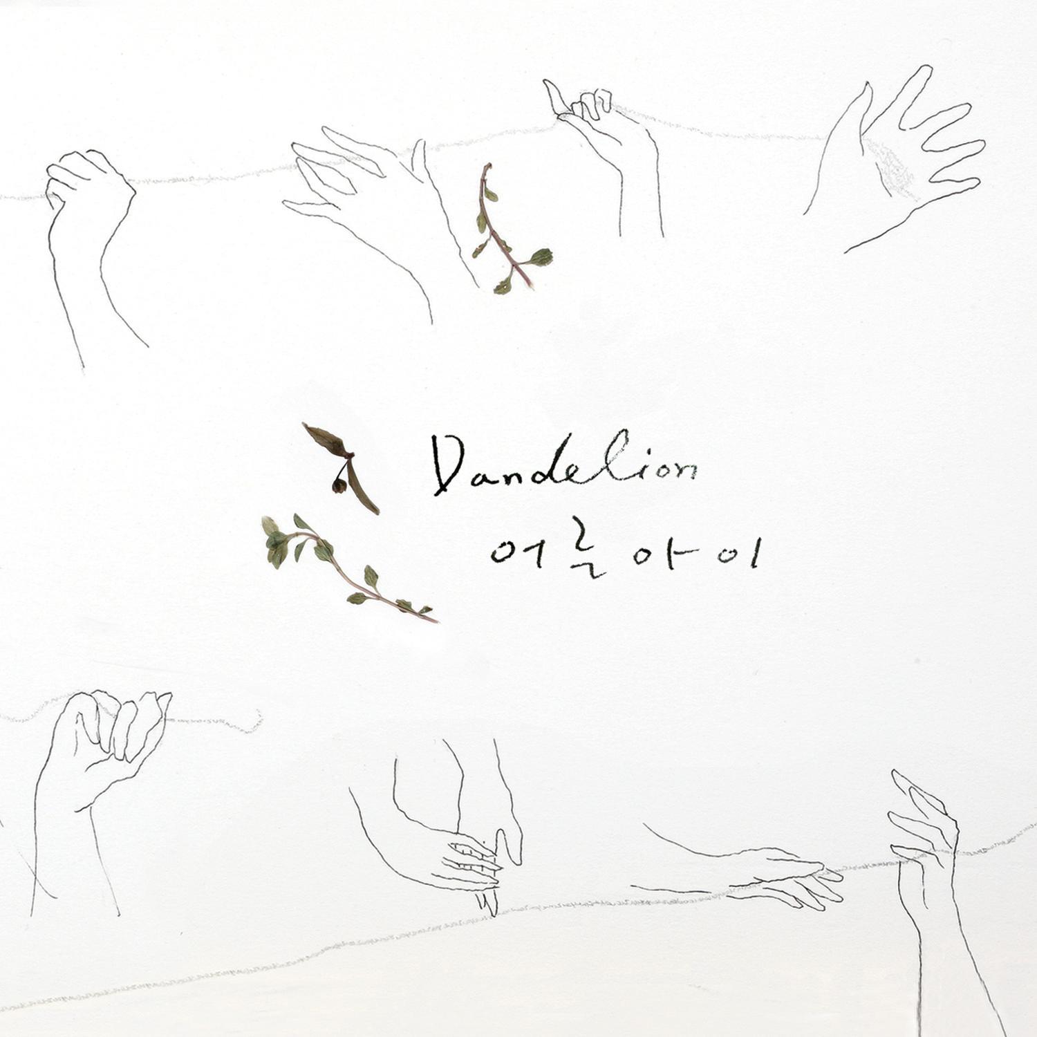 Dandelion专辑