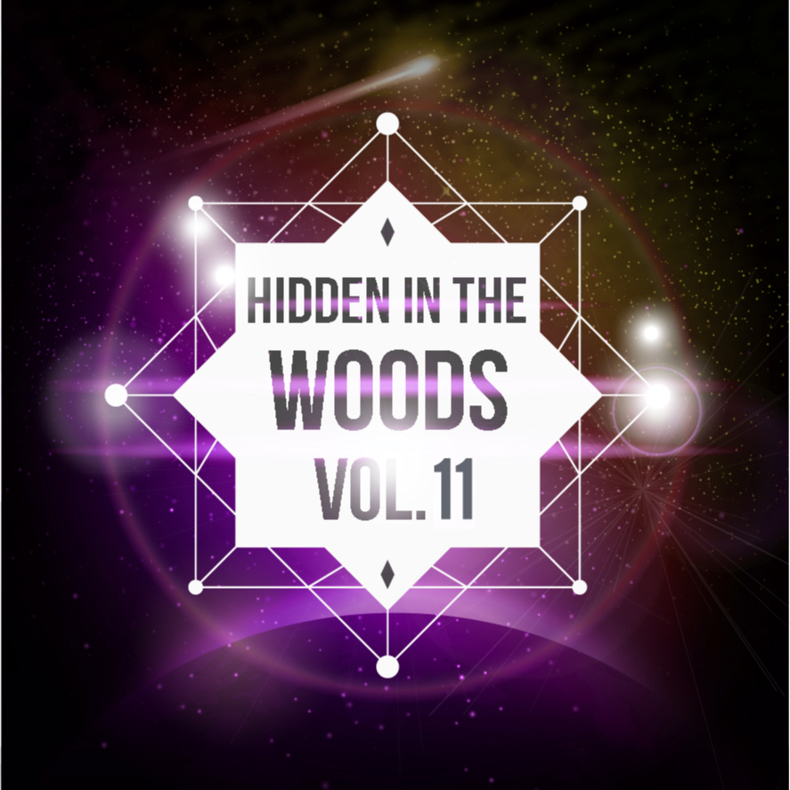 Hidden In The Woods Vol.11专辑