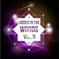 Hidden In The Woods Vol.11