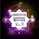Hidden In The Woods Vol.11