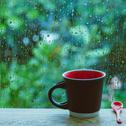 窗前雨