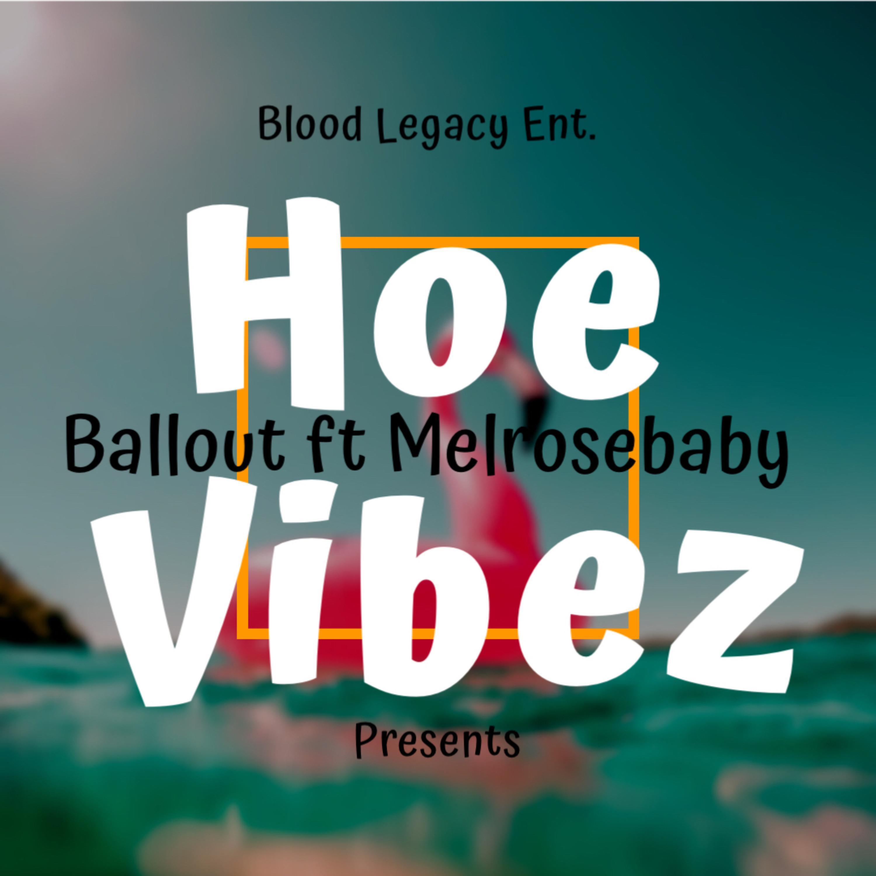 Hoe Vibez