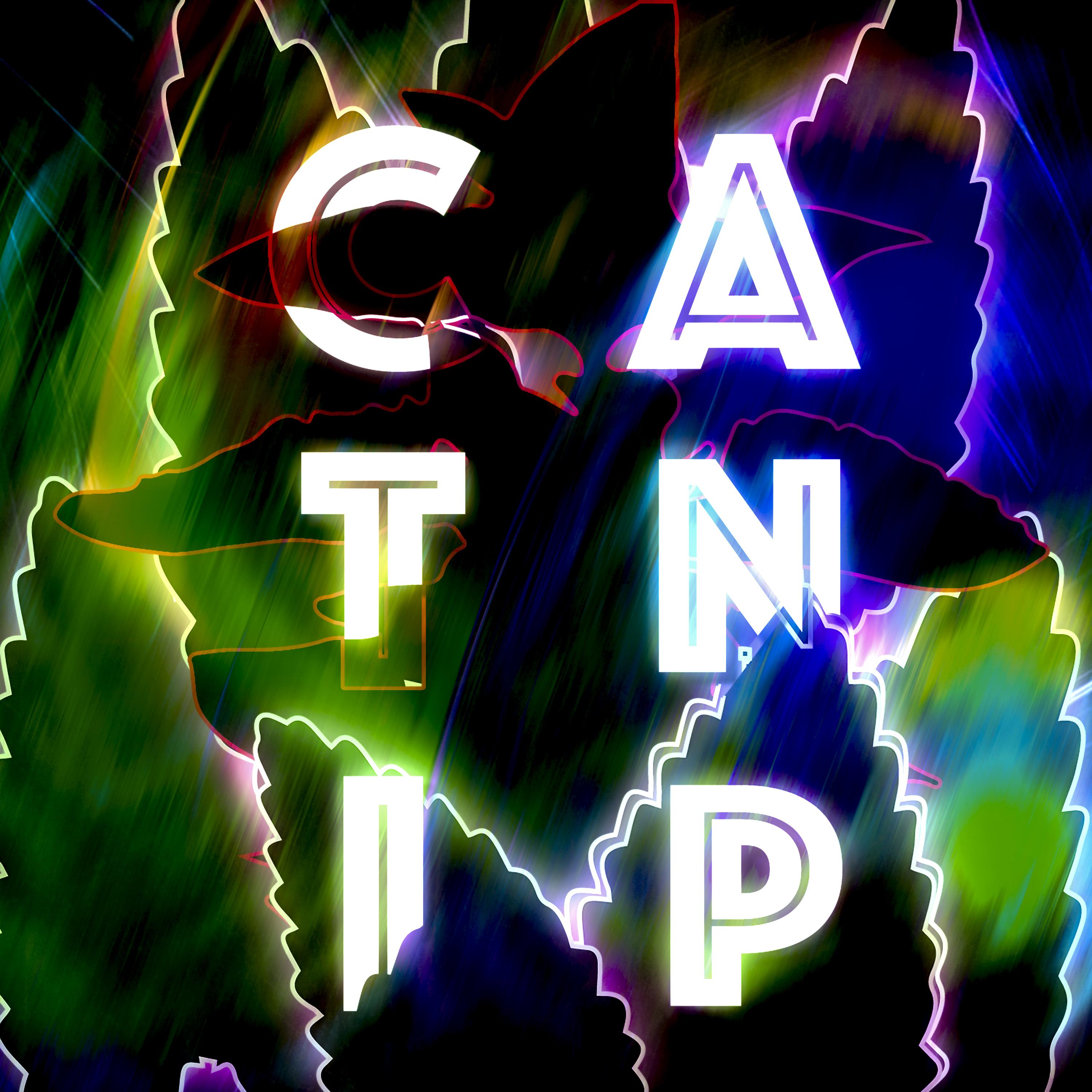 Catnip专辑