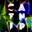 Catnip