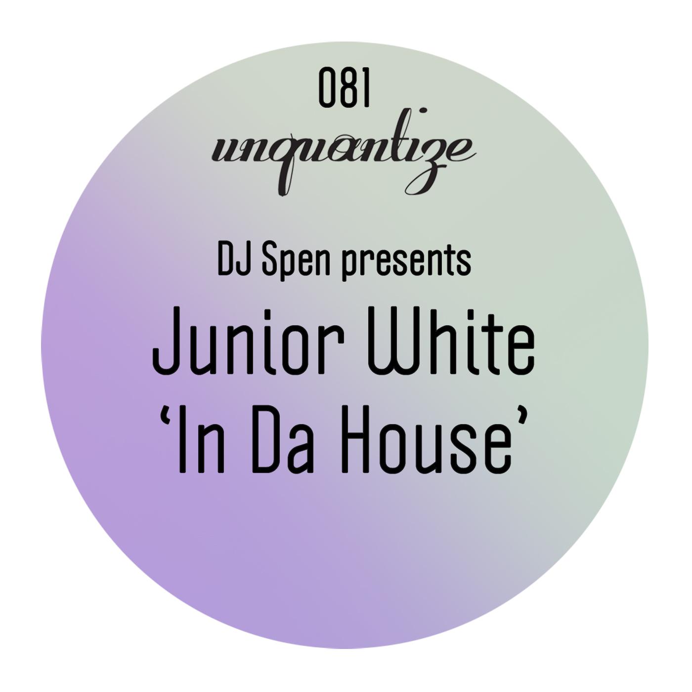 Junior White - In Da House (Original Mix)