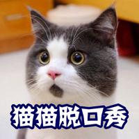 [DJ节目]猫猫村长哟的DJ节目 第276期