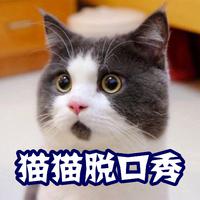 [DJ节目]猫猫村长哟的DJ节目 第294期