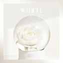 THE BOYZ Special Single '화이트 (White)'专辑