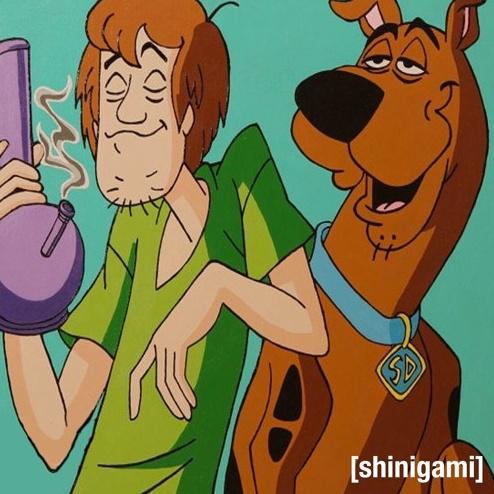 whats new scooby doo?专辑