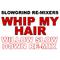 Whip My Hair (Willow Slow Down Re-Mix)专辑