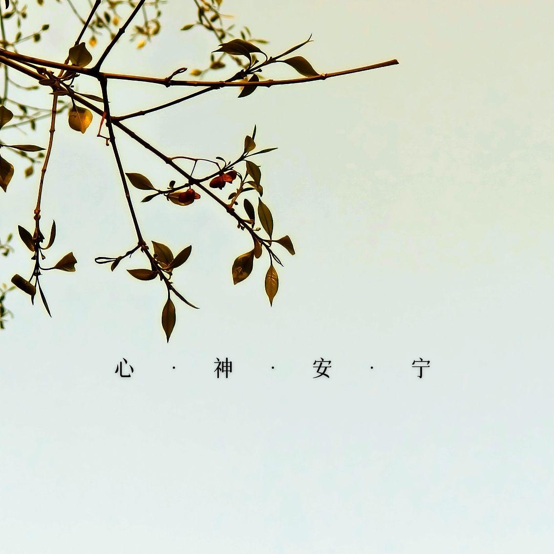 三魂永久丨入于清静