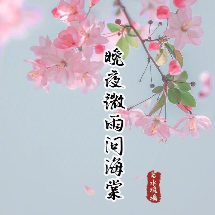 晚夜微雨问海棠