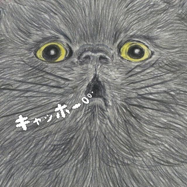 キャッホー