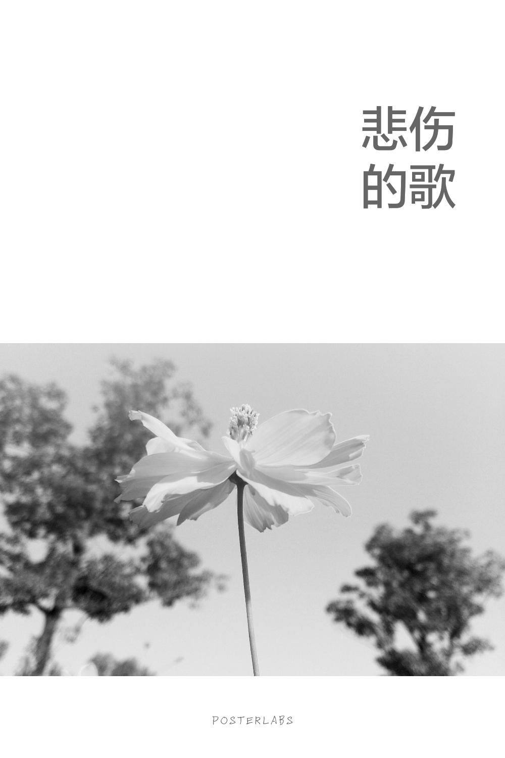 悲伤的歌专辑