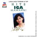 Lagu Lagu Terbaik & Top Hits: Iga Mawarni专辑