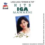 Lagu Lagu Terbaik & Top Hits: Iga Mawarni专辑