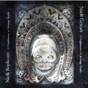 NieR Gestalt & Replicant 15 Nightmares & Arrange Tracks专辑