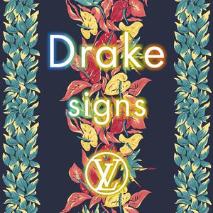 Signs - Drake (karaoke) 带和声伴奏 （降5半音）