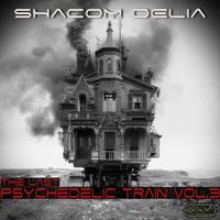 The Last Psychedelic Train, Vol. 3
