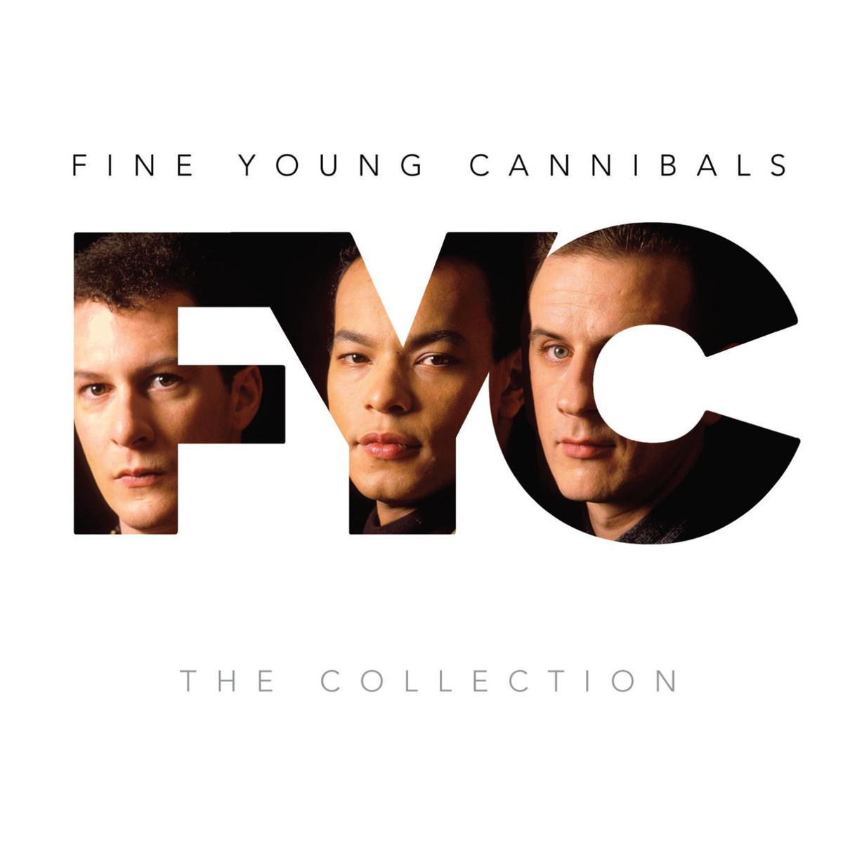 Fine Young Cannibals - I'm Not Satisfied