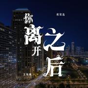 你离开之后