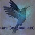 Lark （Original Mix）