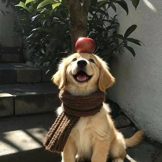 周末随身听｜R&B治愈精神内耗