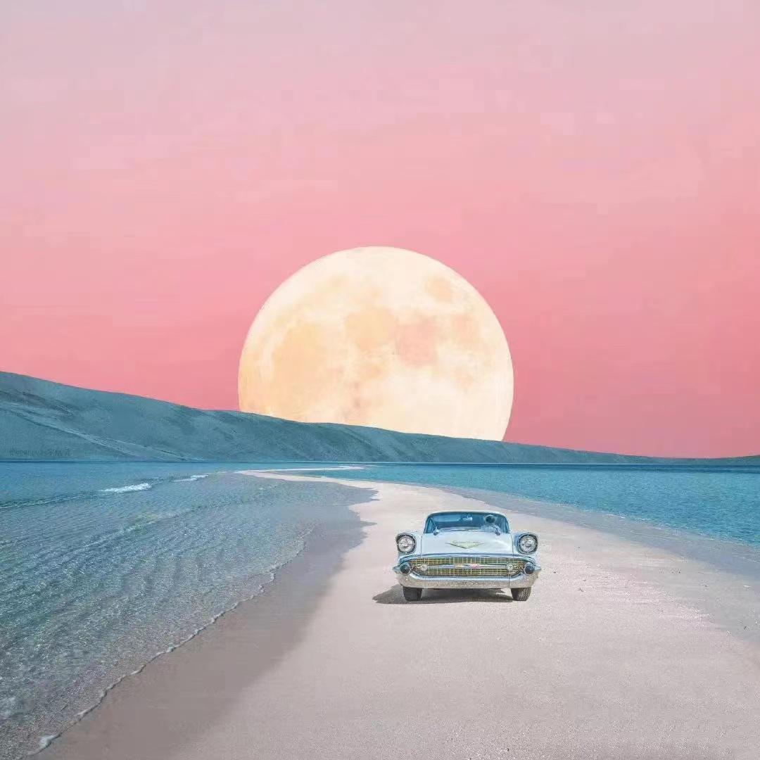 邂逅一夏