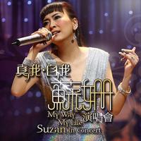 苏姗 - 风里有歌(原版Live伴奏)