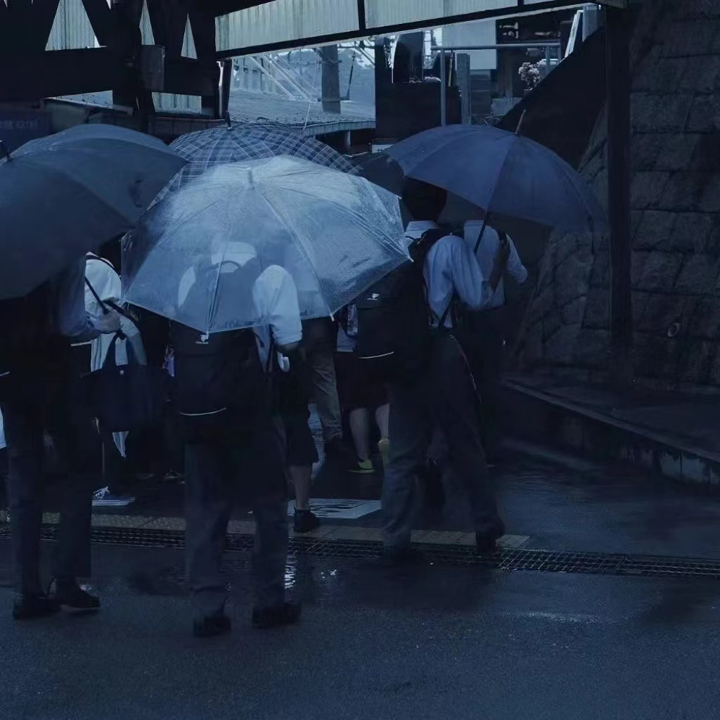 爱本是尘埃
