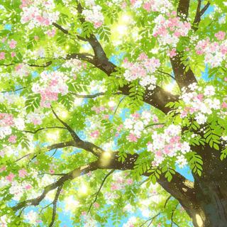 春日轻小调 | 享受春天的清新与阳光！