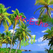 MET U